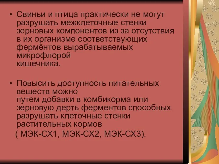 Свиньи и птица практически не могут разрушать межклеточные стенки зерновых компонентов из