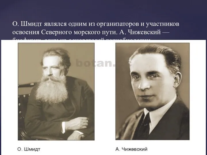 А. Чижевский — биофизик, один из основателей гелиобиологии. О. Шмидт являлся одним