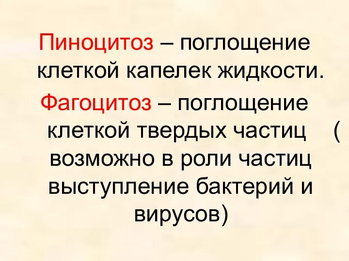 Пиноцитоз – поглощение клеткой капелек жидкости. Фагоцитоз – поглощение клеткой твердых частиц