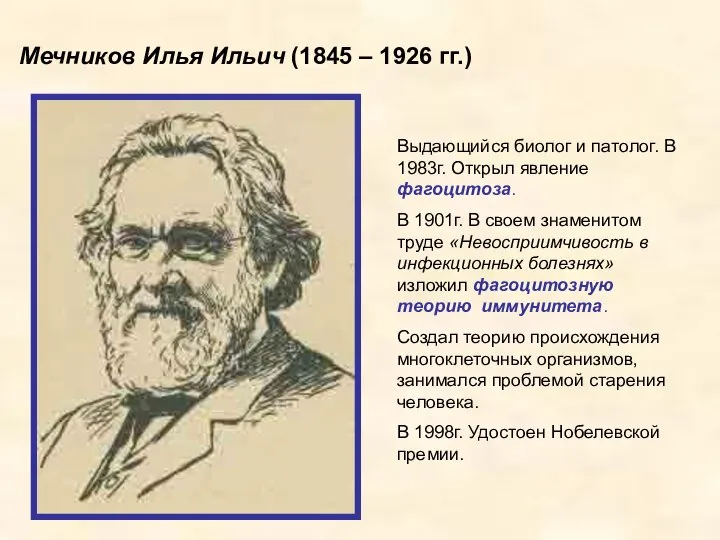 Мечников Илья Ильич (1845 – 1926 гг.) Выдающийся биолог и патолог. В