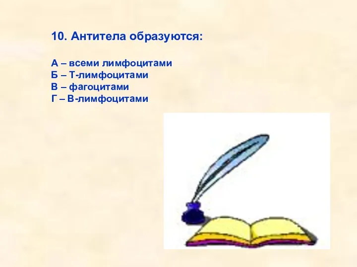 10. Антитела образуются: А – всеми лимфоцитами Б – Т-лимфоцитами В – фагоцитами Г – В-лимфоцитами