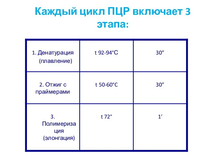 Каждый цикл ПЦР включает 3 этапа: