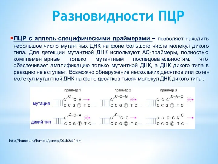 Разновидности ПЦР ПЦР с аллель-специфическими праймерами – позволяет находить небольшое число мутантных