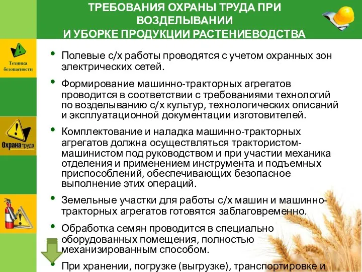 ТРЕБОВАНИЯ ОХРАНЫ ТРУДА ПРИ ВОЗДЕЛЫВАНИИ И УБОРКЕ ПРОДУКЦИИ РАСТЕНИЕВОДСТВА Полевые с/х работы