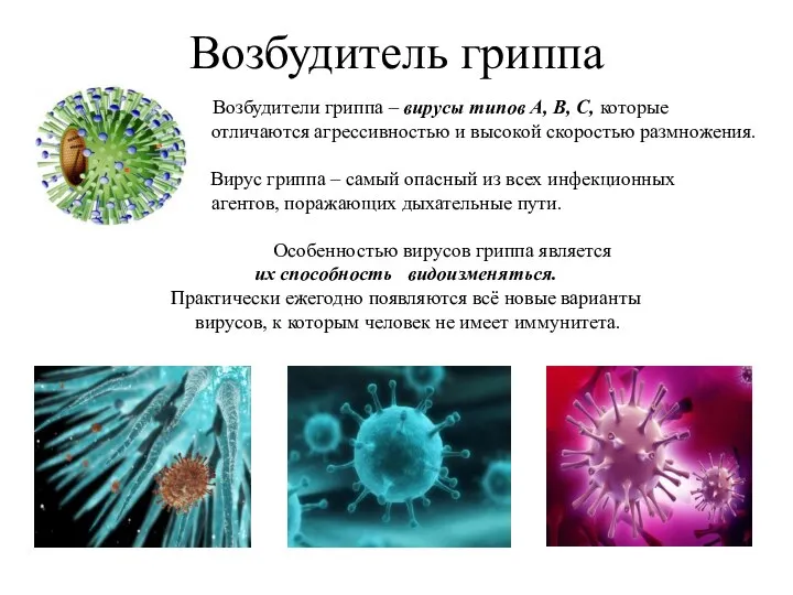 Возбудитель гриппа Возбудители гриппа – вирусы типов А, В, С, которые отличаются