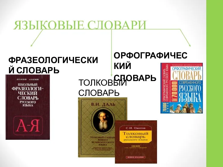 ЯЗЫКОВЫЕ СЛОВАРИ ФРАЗЕОЛОГИЧЕСКИЙ СЛОВАРЬ ОРФОГРАФИЧЕСКИЙ СЛОВАРЬ ТОЛКОВЫЙ СЛОВАРЬ