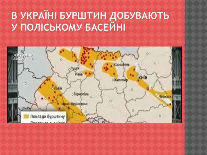 В УКРАЇНІ БУРШТИН ДОБУВАЮТЬ У ПОЛІСЬКОМУ БАСЕЙНІ