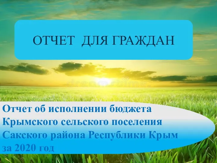 Отчет об исполнении бюджета Крымского сельского поселения Сакского района Республики Крым за 2020 год