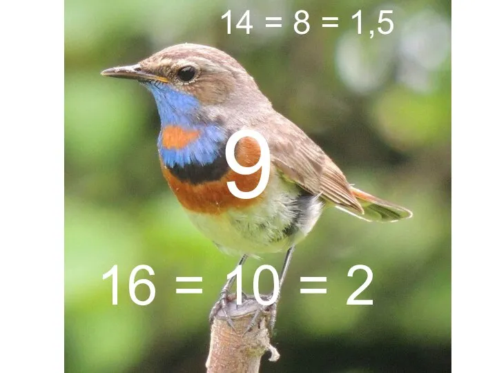 14 = 8 = 1,5 16 = 10 = 2 9