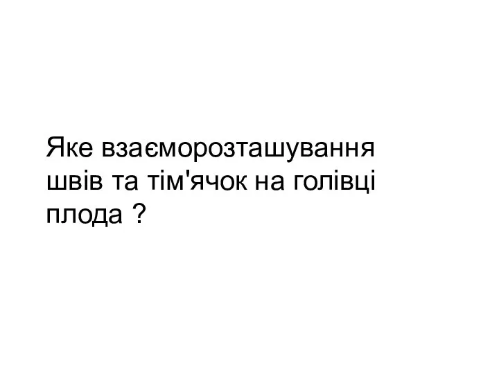 Яке взаєморозташування швів та тім'ячок на голівці плода ?