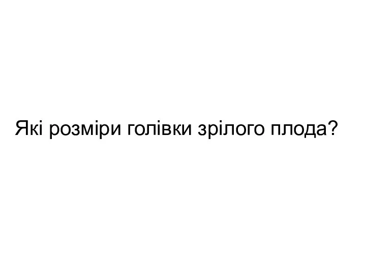 Які розміри голівки зрілого плода?