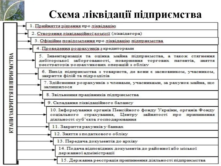 Схема ліквідації підприємства