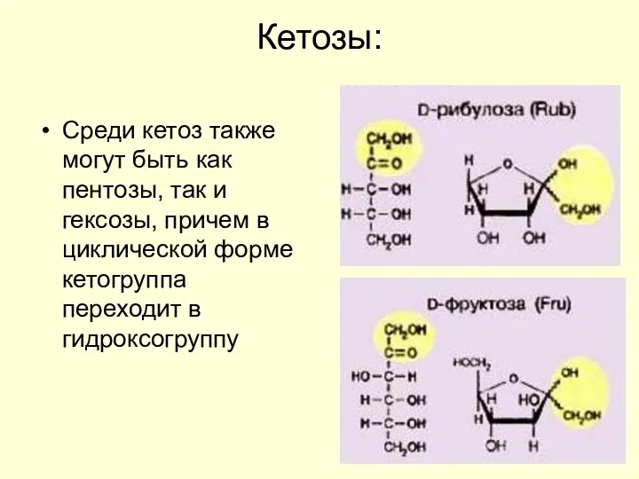 Кетозы: Среди кетоз также могут быть как пентозы, так и гексозы, причем