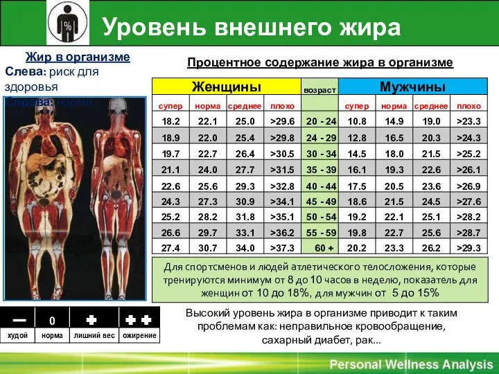 Жир в организме Слева: риск для здоровья Справа: норма Высокий уровень жира