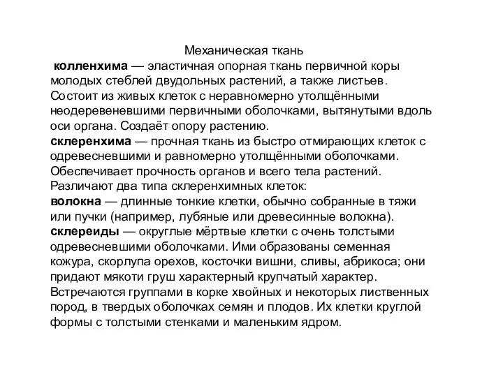 Механическая ткань колленхима — эластичная опорная ткань первичной коры молодых стеблей двудольных