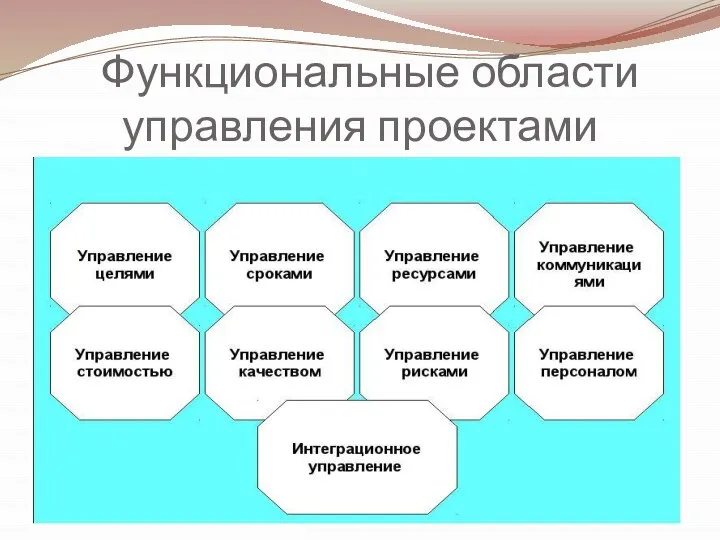 Функциональные области управления проектами