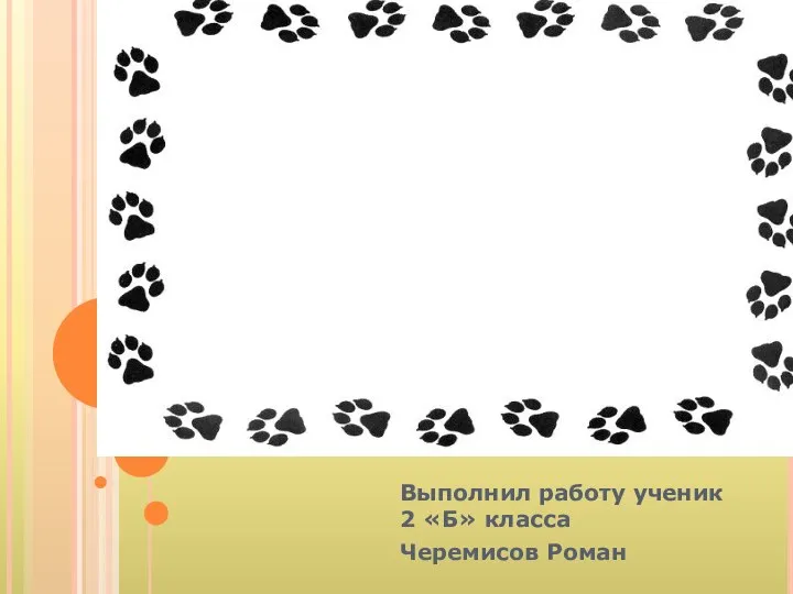 Мое домашнее животное Собака по кличке ВЕНЕРА Выполнил работу ученик 2 «Б» класса Черемисов Роман
