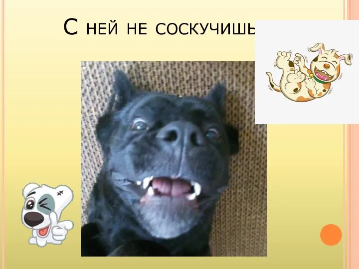 С ней не соскучишься