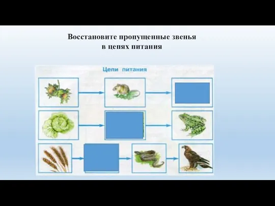 Восстановите пропущенные звенья в цепях питания