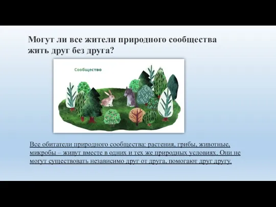 Могут ли все жители природного сообщества жить друг без друга? Все обитатели