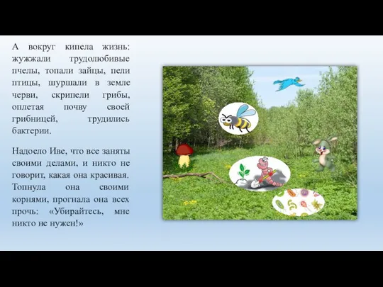 А вокруг кипела жизнь: жужжали трудолюбивые пчелы, топали зайцы, пели птицы, шуршали