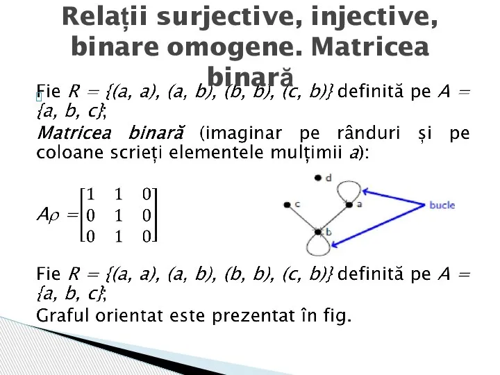 Relații surjective, injective, binare omogene. Matricea binară