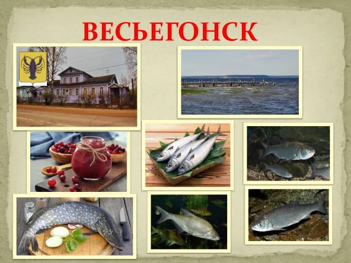 ВЕСЬЕГОНСК