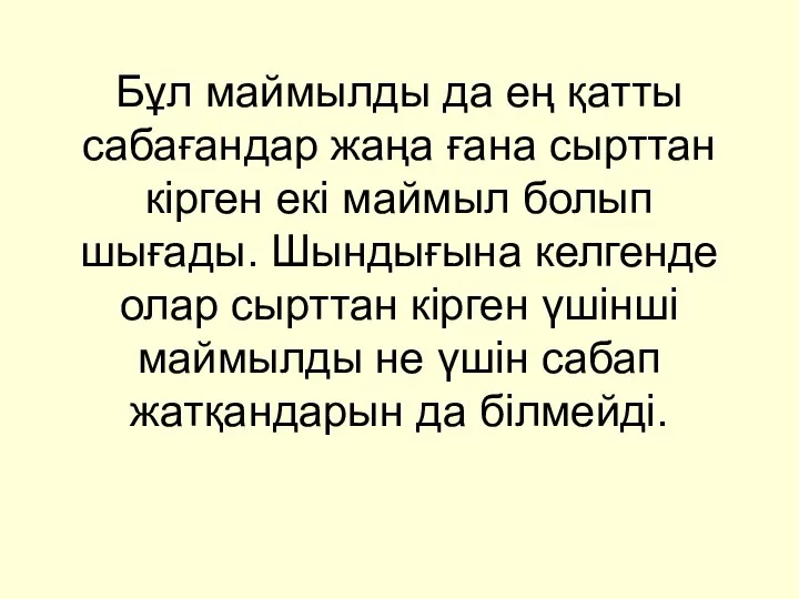 Бұл маймылды да ең қатты сабағандар жаңа ғана сырттан кірген екі маймыл