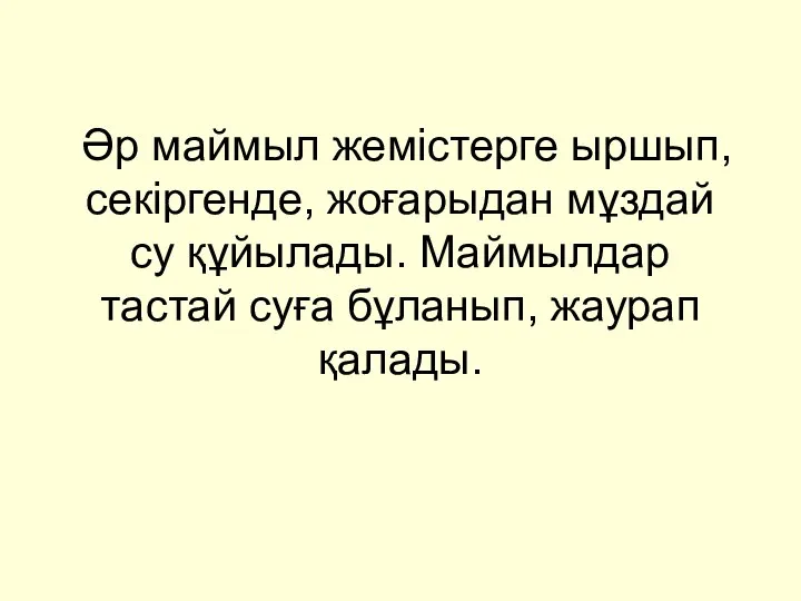 Әр маймыл жемістерге ыршып, секіргенде, жоғарыдан мұздай су құйылады. Маймылдар тастай суға бұланып, жаурап қалады.