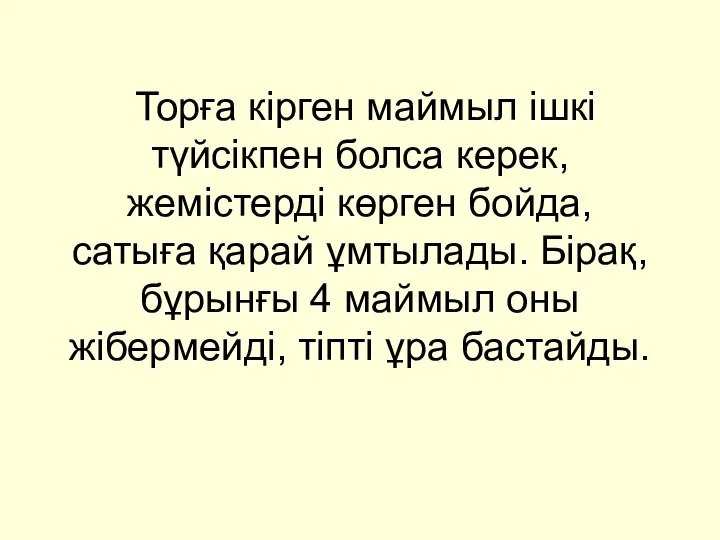 Торға кірген маймыл ішкі түйсікпен болса керек, жемістерді көрген бойда, сатыға қарай