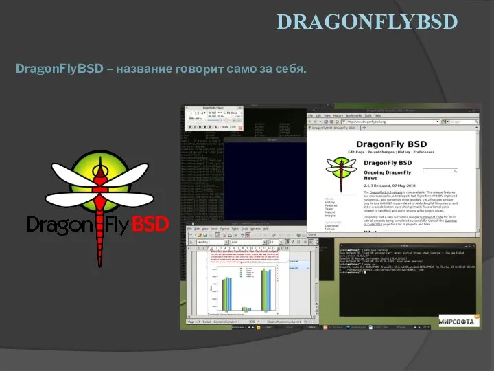 DRAGONFLYBSD DragonFlyBSD – название говорит само за себя.