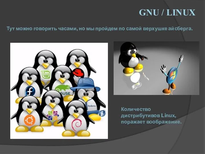 Тут можно говорить часами, но мы пройдем по самой верхушке айсберга. GNU