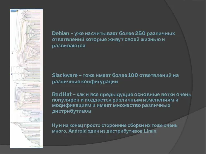 Debian – уже насчитывает более 250 различных ответвлений которые живут своей жизнью