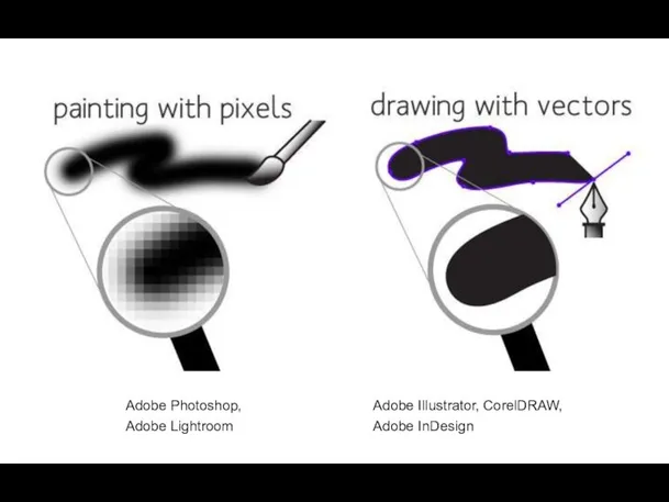 Adobe Illustrator, CorelDRAW, Adobe InDesign Adobe Photoshop, Adobe Lightroom
