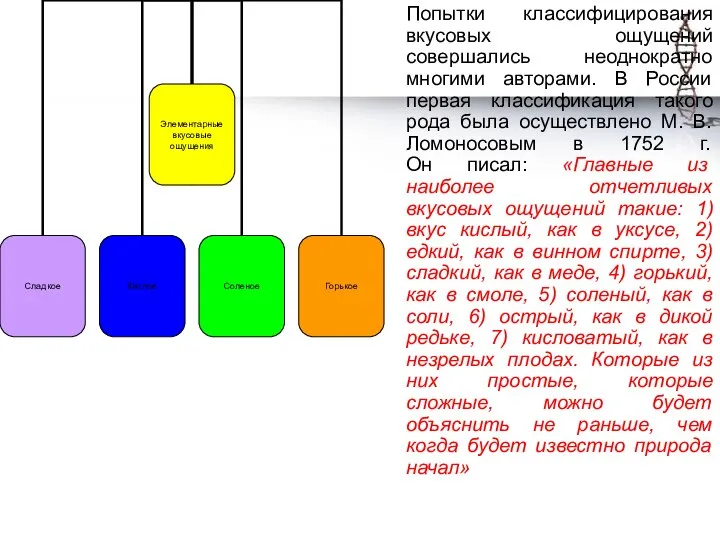 Попытки классифицирования вкусовых ощущений совершались неоднократно многими авторами. В России первая классификация