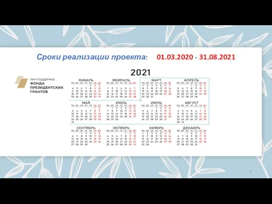 Сроки реализации проекта: 01.03.2020 - 31.08.2021