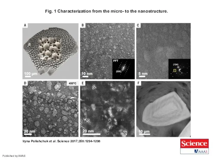 Fig. 1 Characterization from the micro- to the nanostructure. Iryna Polishchuk et