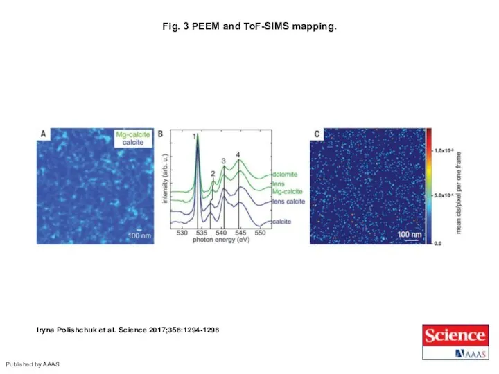 Fig. 3 PEEM and ToF-SIMS mapping. Iryna Polishchuk et al. Science 2017;358:1294-1298 Published by AAAS