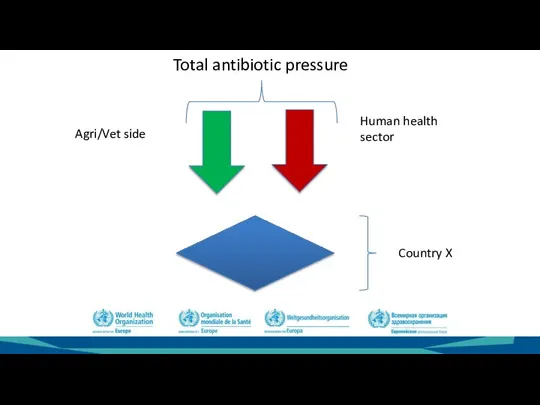 Total antibiotic pressure Agri/Vet side Human health sector Country X