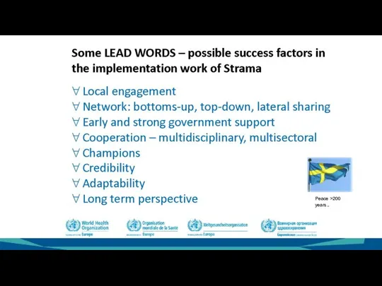 Some LEAD WORDS – possible success factors in the implementation work of