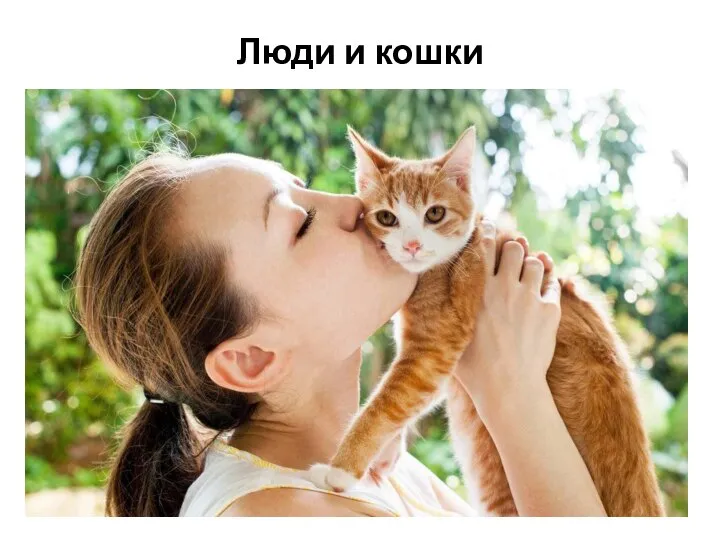Люди и кошки