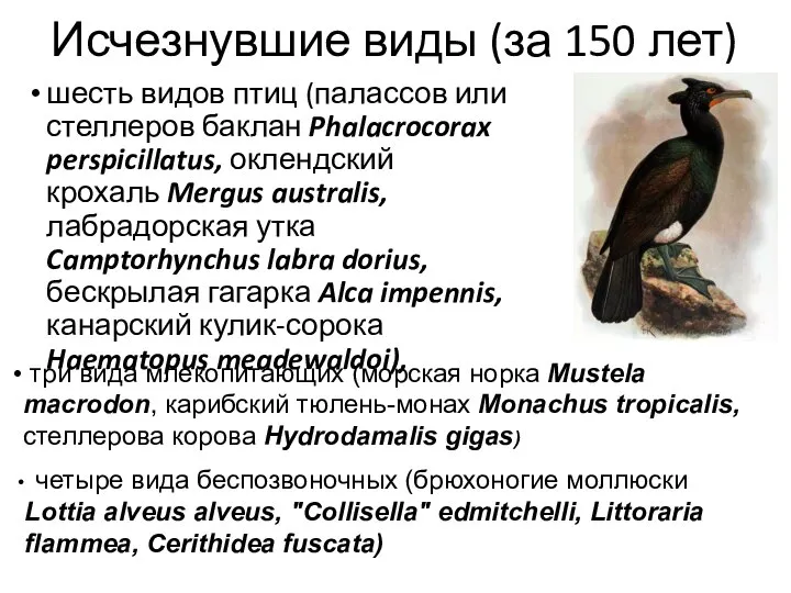 Исчезнувшие виды (за 150 лет) шесть видов птиц (палассов или стеллеров баклан