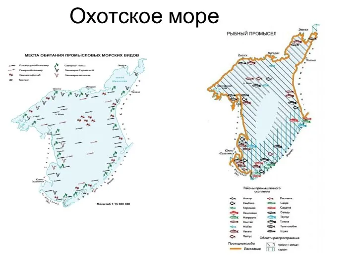 Охотское море