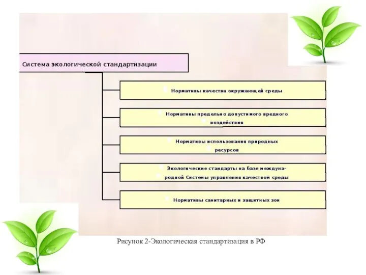 Рисунок 2-Экологическая стандартизация в РФ