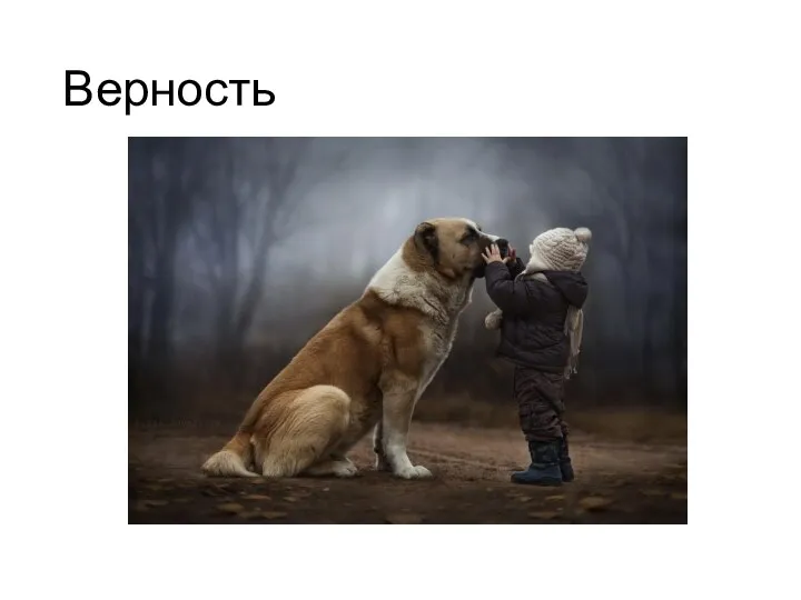 Верность