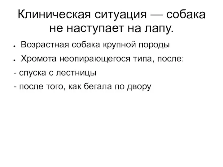 Клиническая ситуация — собака не наступает на лапу. Возрастная собака крупной породы