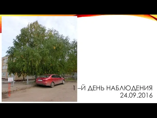 1 –Й ДЕНЬ НАБЛЮДЕНИЯ 24.09.2016