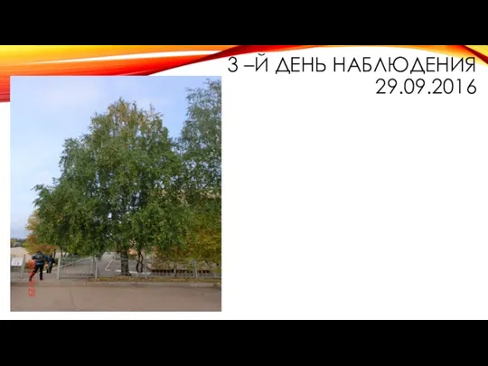 3 –Й ДЕНЬ НАБЛЮДЕНИЯ 29.09.2016