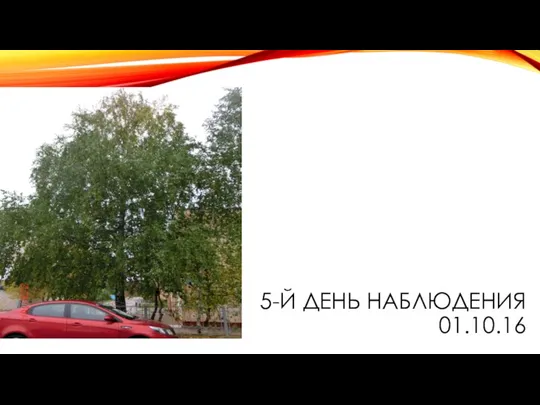 5-Й ДЕНЬ НАБЛЮДЕНИЯ 01.10.16