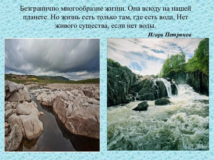 Безгранично многообразие жизни. Она всюду на нашей планете. Но жизнь есть только